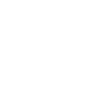 RobertoPepe